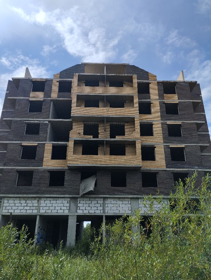 Строительство, долгострой, дольщики, Старая Купавна, Богородский городской округ