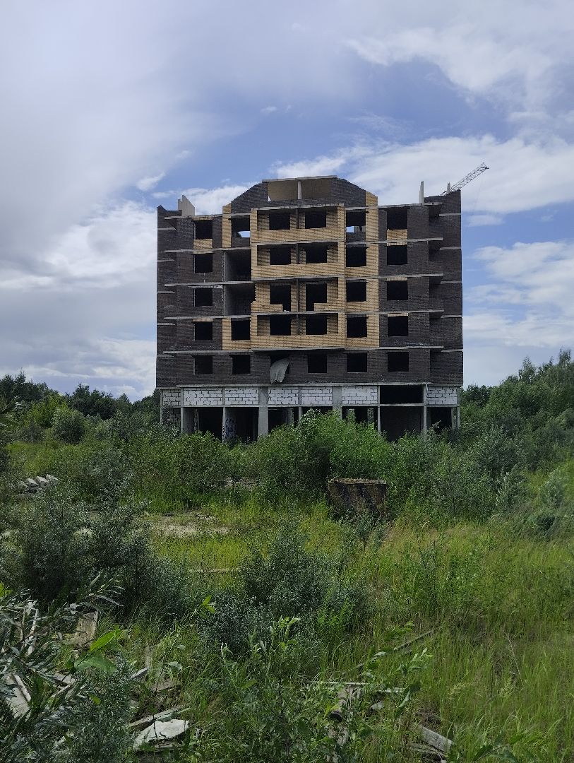 Строительство, долгострой, дольщики, Старая Купавна, Богородский городской округ