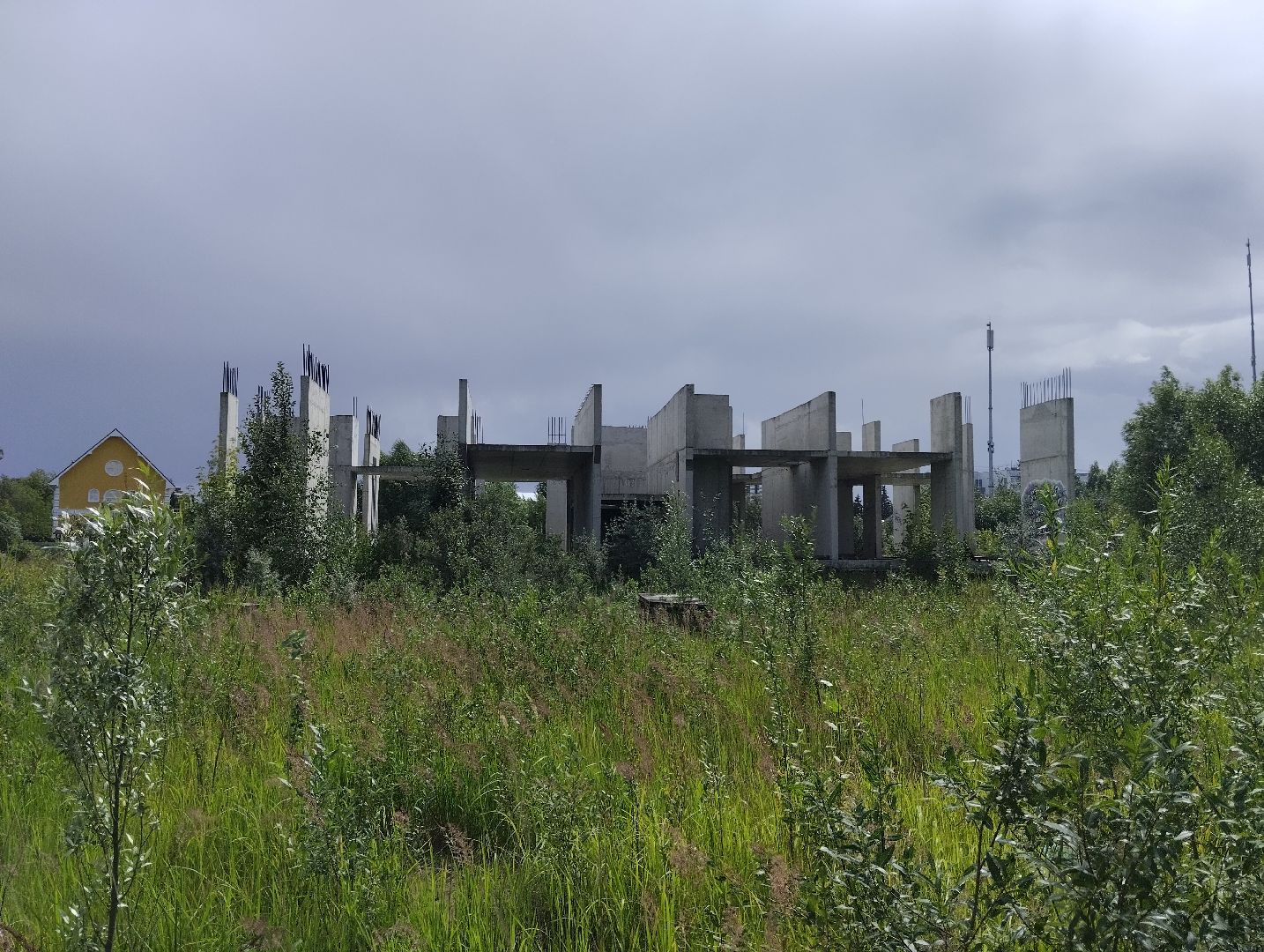 Строительство, долгострой, дольщики, Старая Купавна, Богородский городской округ