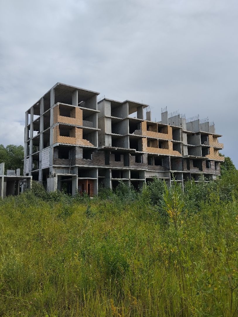 Строительство, долгострой, дольщики, Старая Купавна, Богородский городской округ