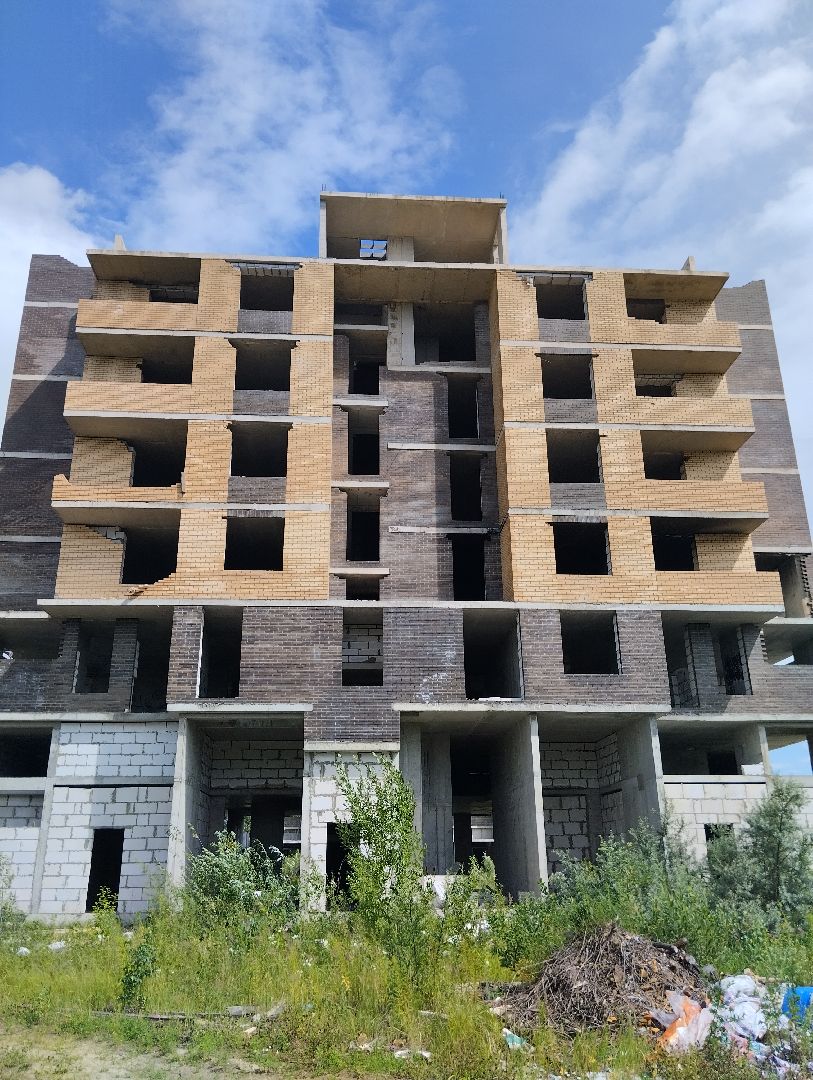 Строительство, долгострой, дольщики, Старая Купавна, Богородский городской округ