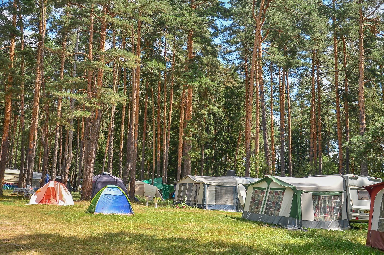 #БольшаяШатура#Белоеозеро#экология#