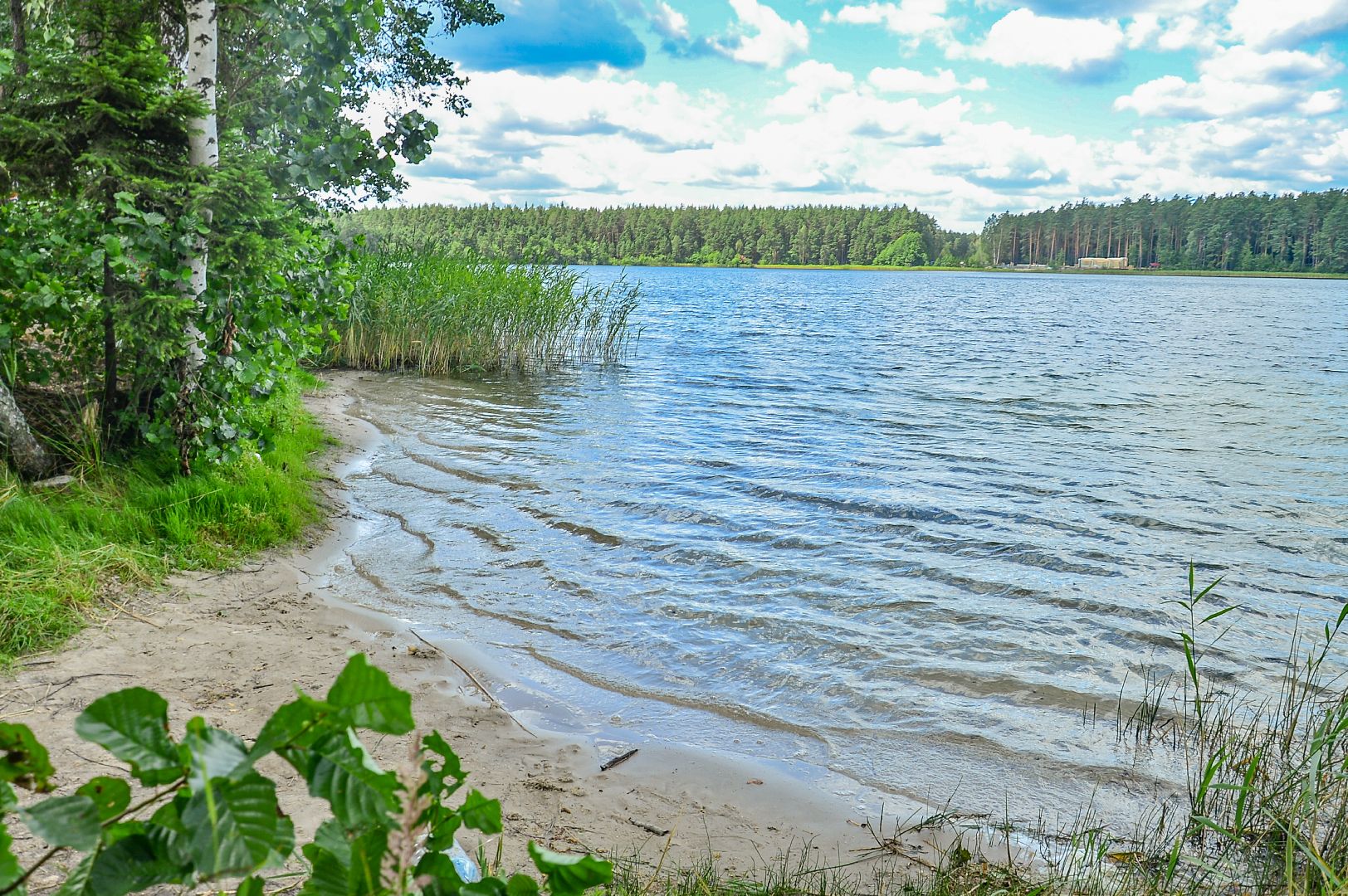 #БольшаяШатура#Белоеозеро#экология#