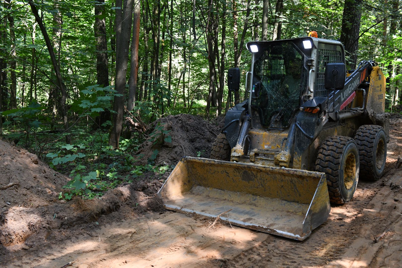 лыткарино, благоустройство, лесопарк
