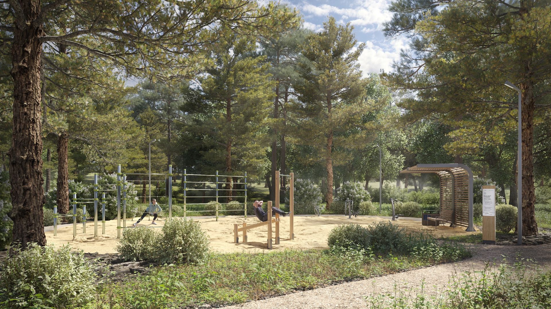 лыткарино, благоустройство, лесопарк