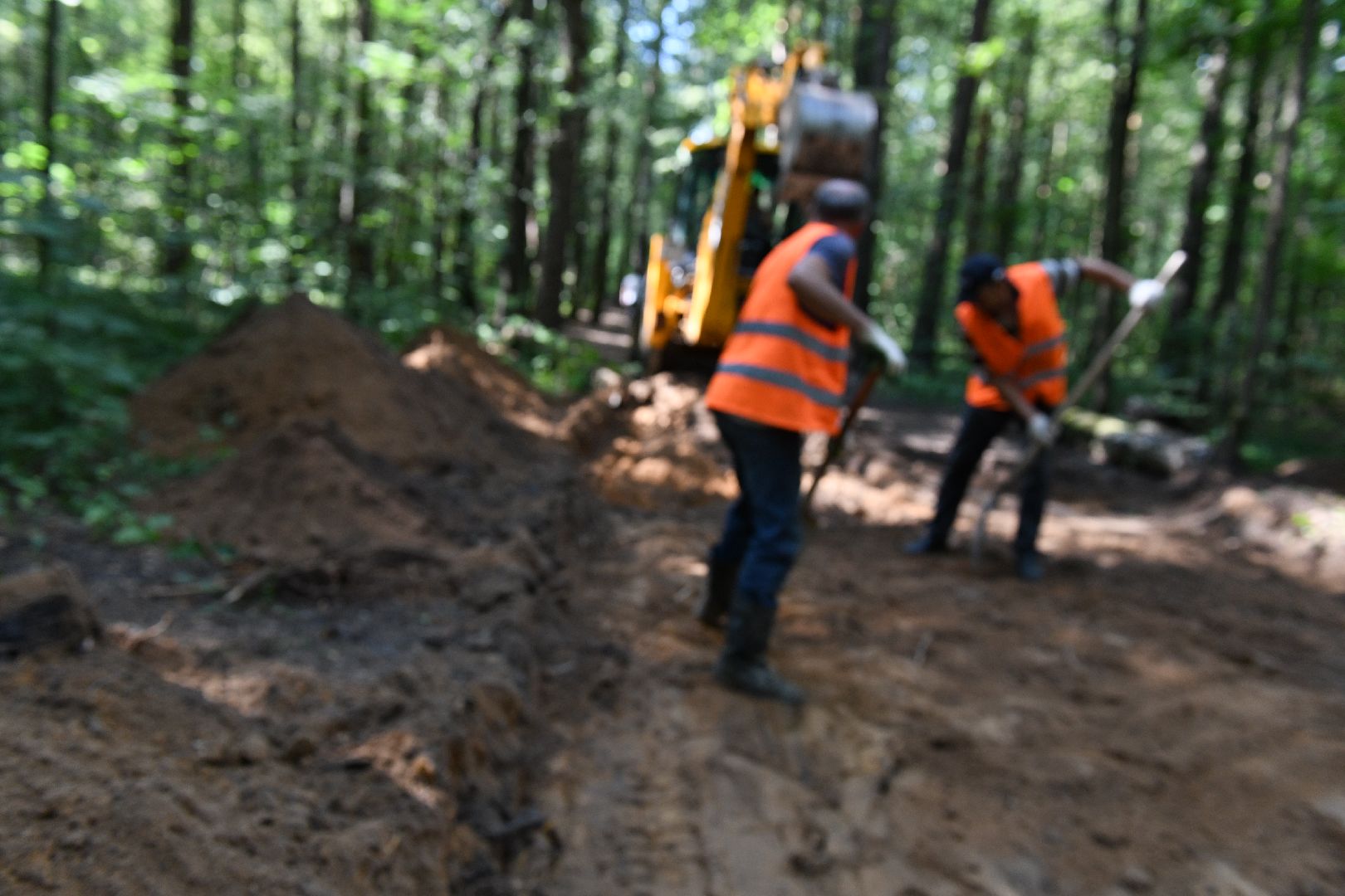 лыткарино, благоустройство, лесопарк