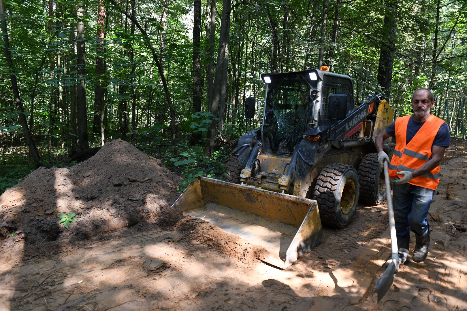 лыткарино, благоустройство, лесопарк