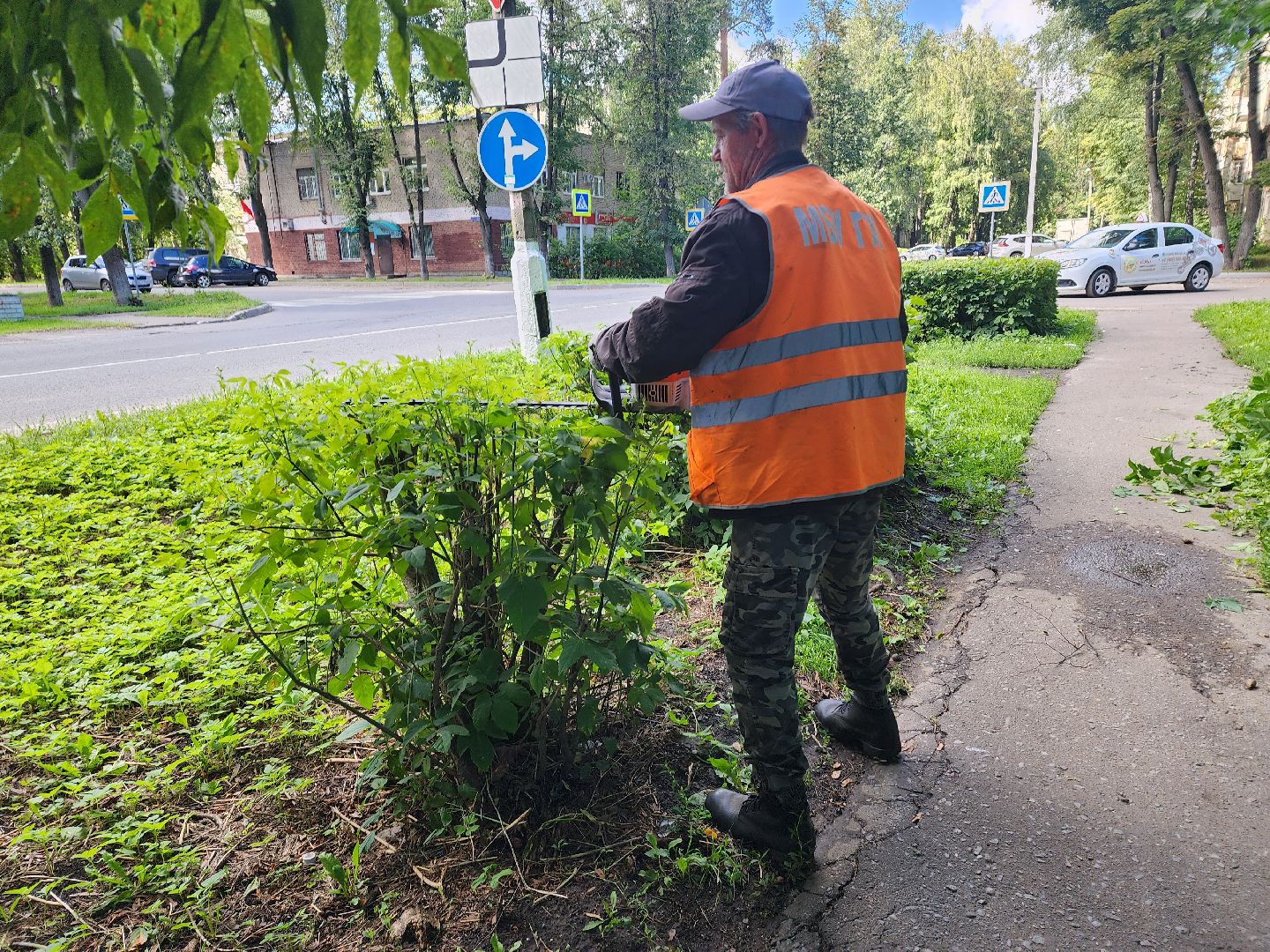 Пушкино, ЖКХ, деревья, обрезка