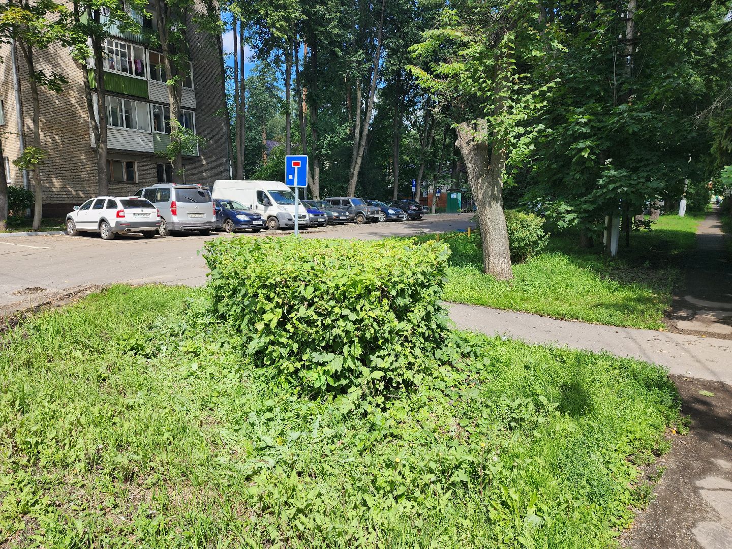 Пушкино, ЖКХ, деревья, обрезка