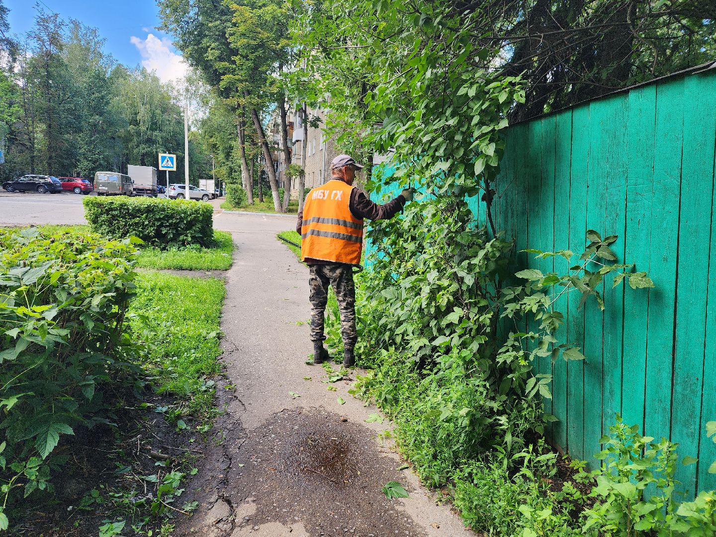 Пушкино, ЖКХ, деревья, обрезка