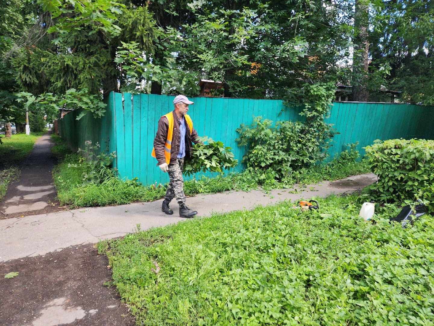 Пушкино, ЖКХ, деревья, обрезка