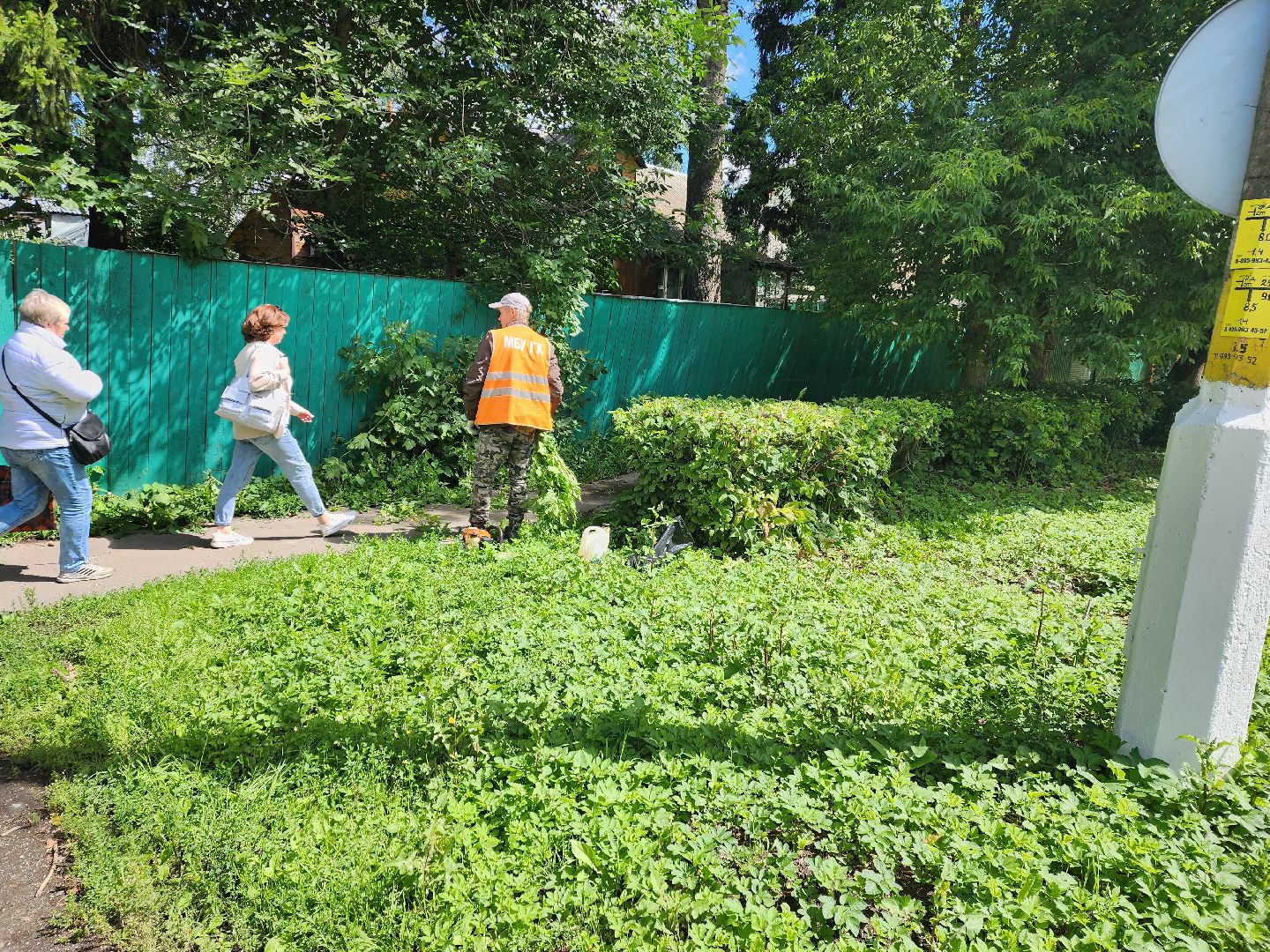 Пушкино, ЖКХ, деревья, обрезка