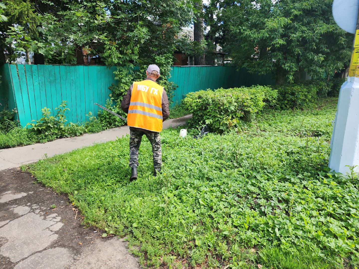 Пушкино, ЖКХ, деревья, обрезка