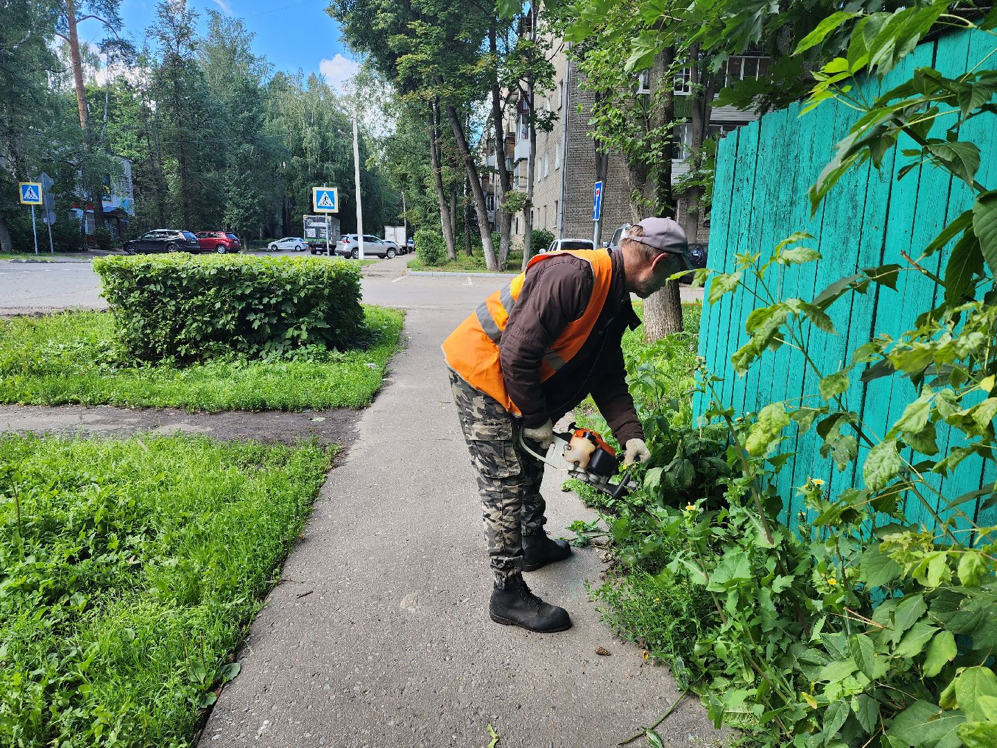 Пушкино, ЖКХ, деревья, обрезка
