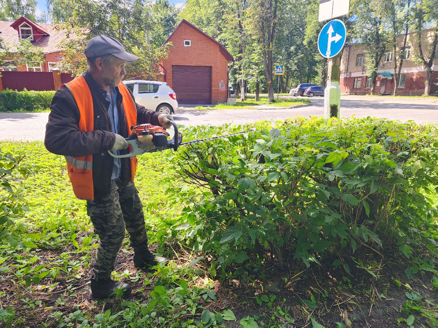 Пушкино, ЖКХ, деревья, обрезка