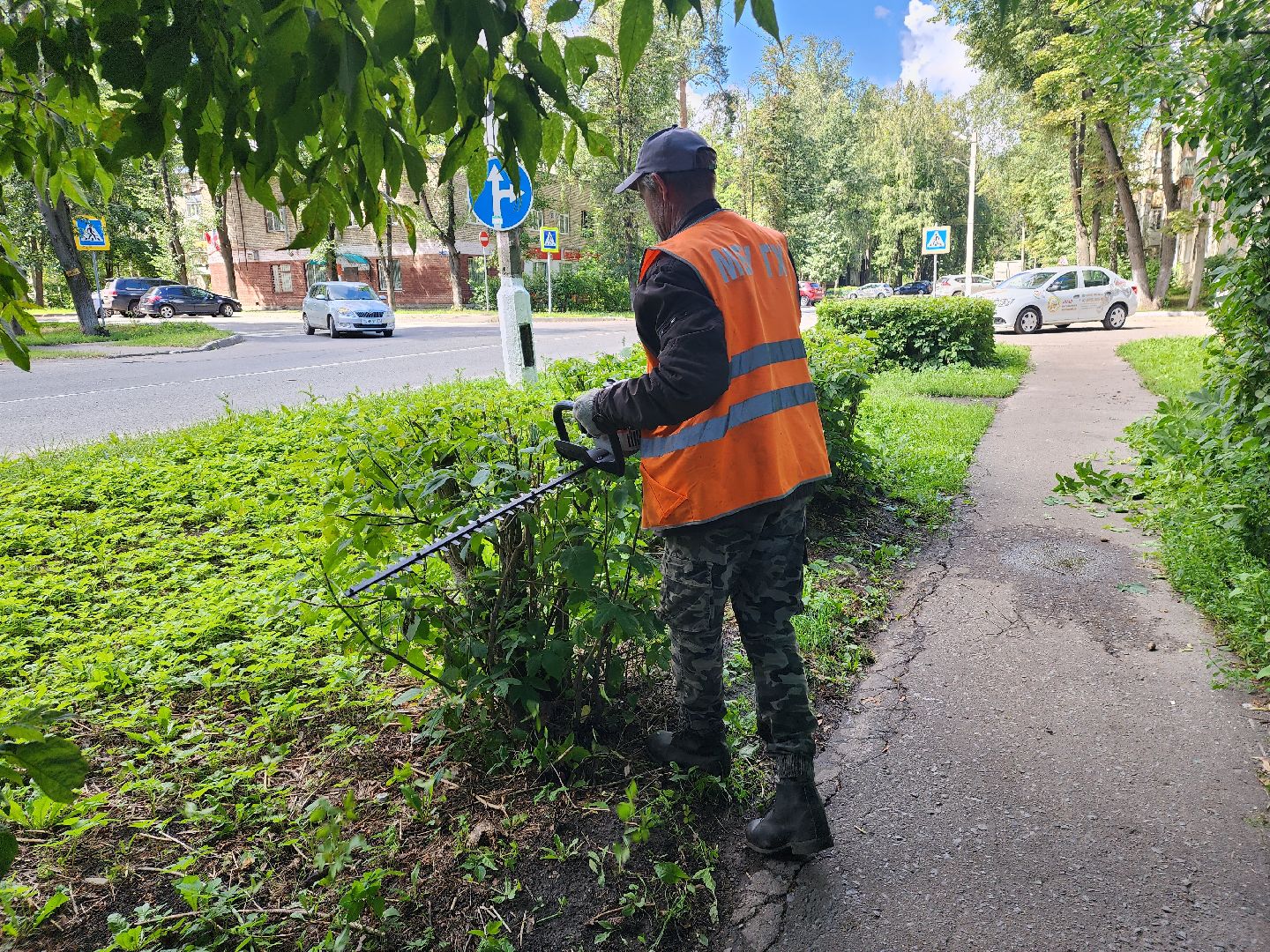 Пушкино, ЖКХ, деревья, обрезка