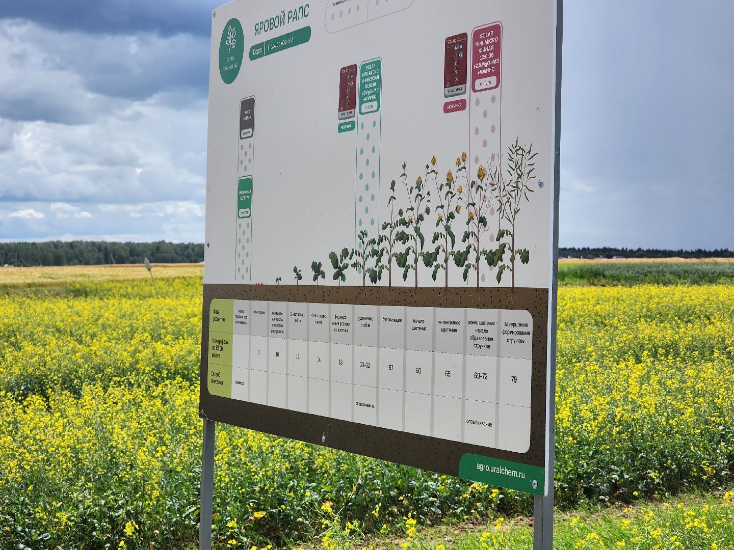 Домодедово, сельскохозяйственная техника, комбайн, трактор, урожай, эффективность