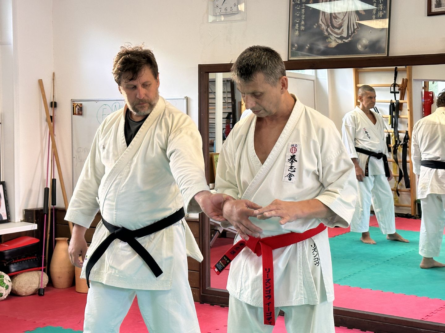 Одинцово, Каратэ, Годзю-рю, Горки-10