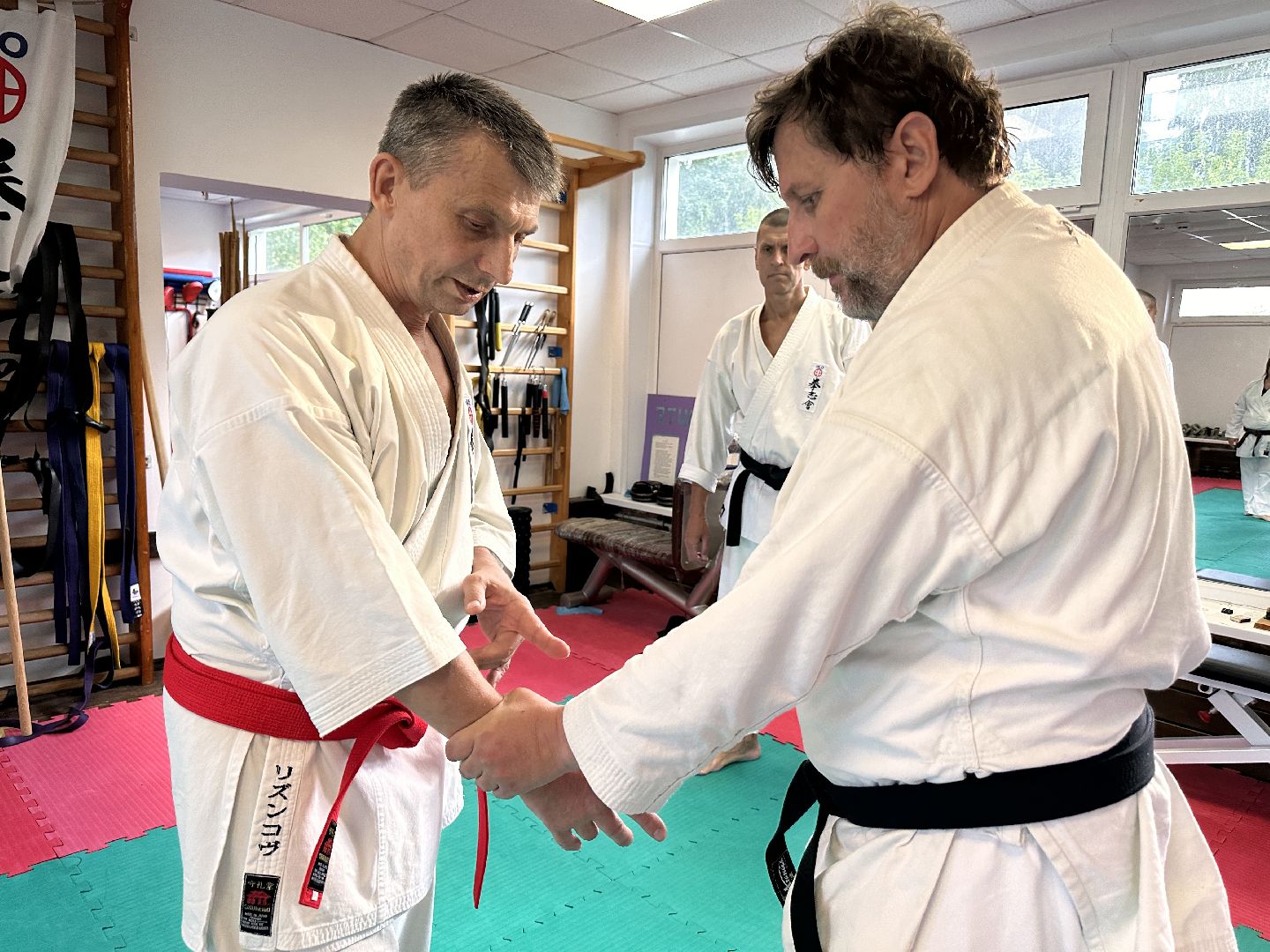 Одинцово, Каратэ, Годзю-рю, Горки-10