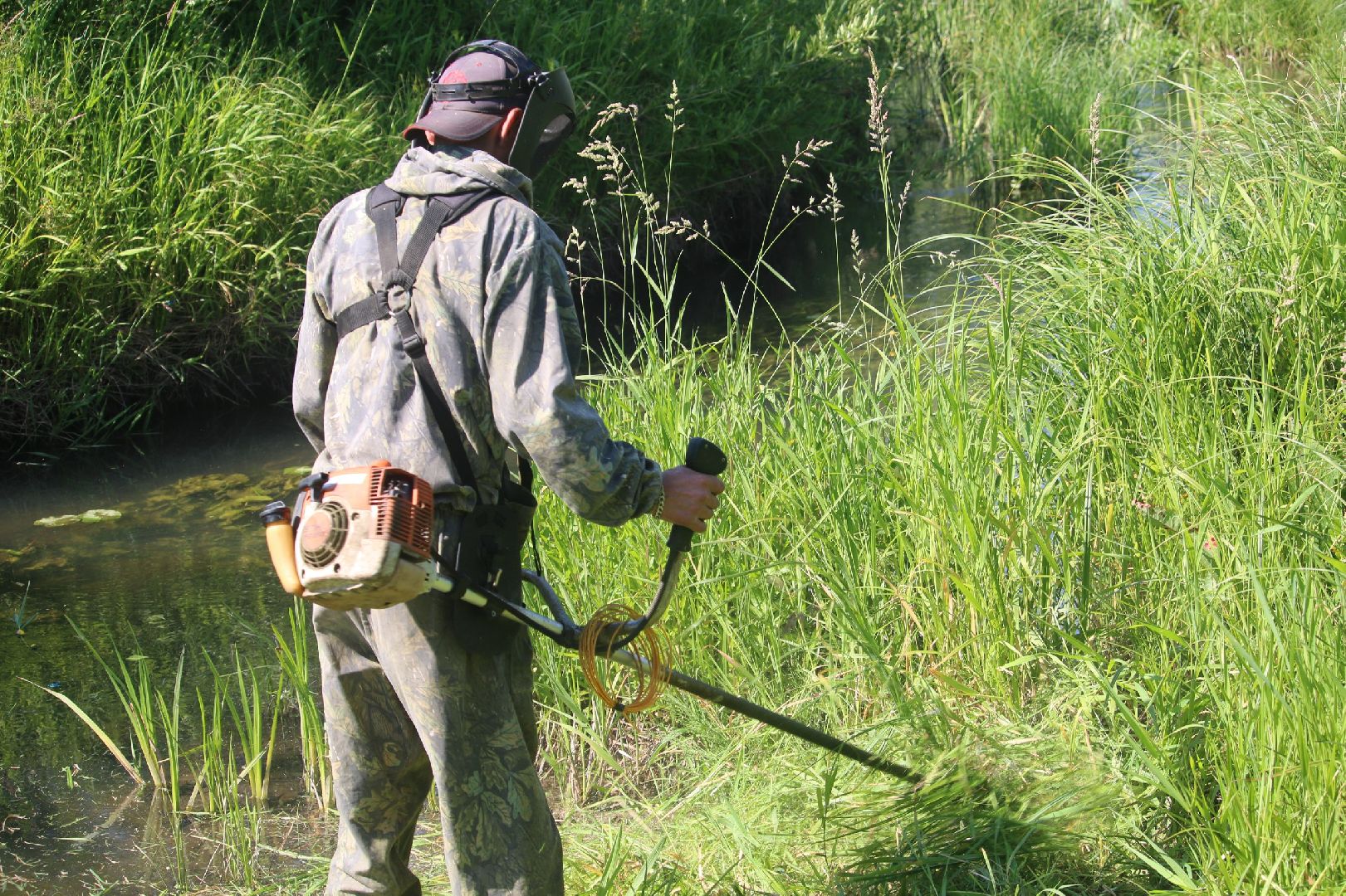 Серебряные Пруды, Экология