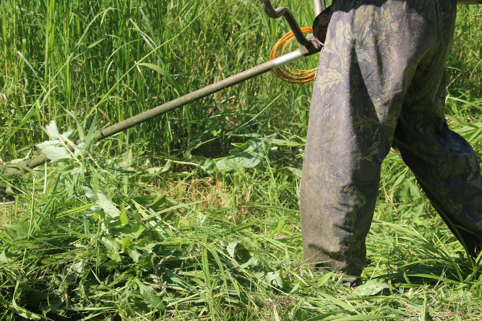 Серебряные Пруды, Экология