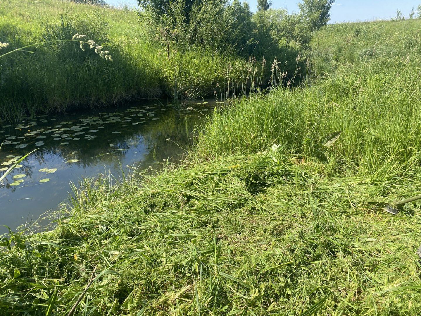 Серебряные Пруды, Экология