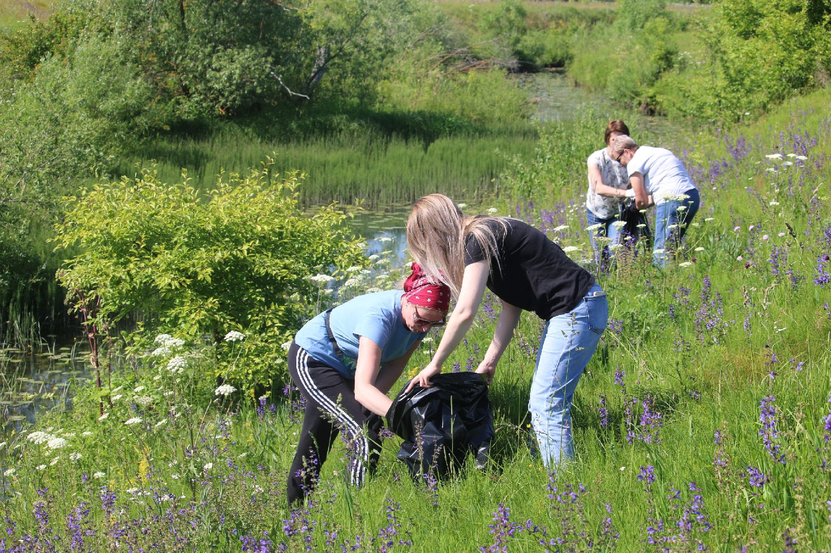 Серебряные Пруды, Экология
