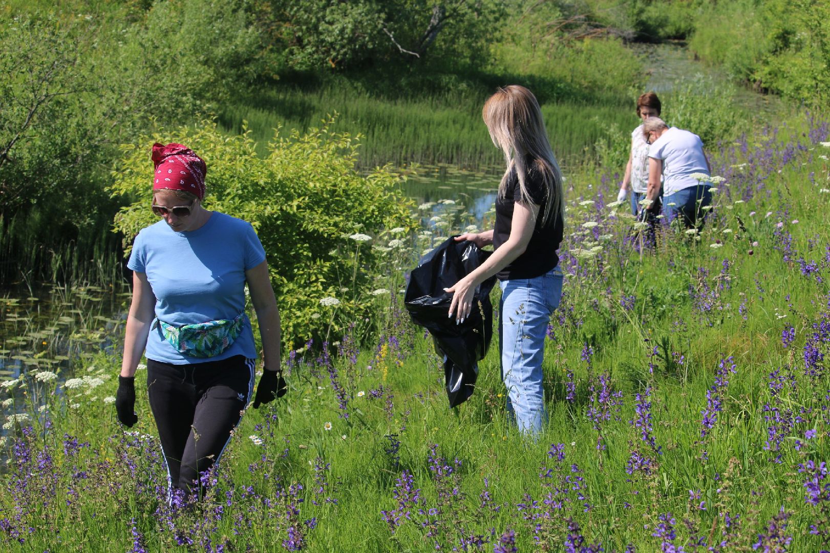 Серебряные Пруды, Экология