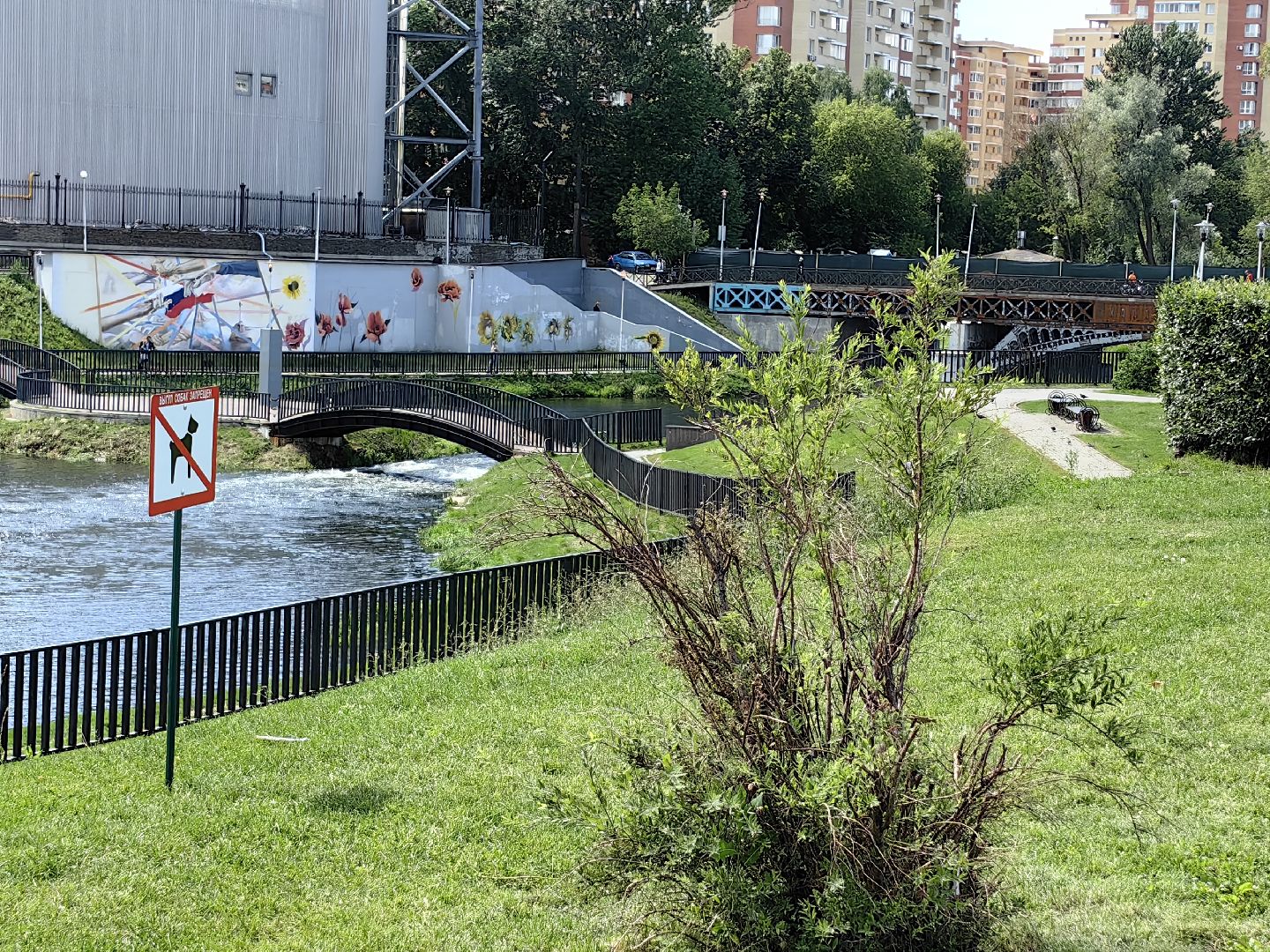 Собака, выгул, табличка, набережная, намордник