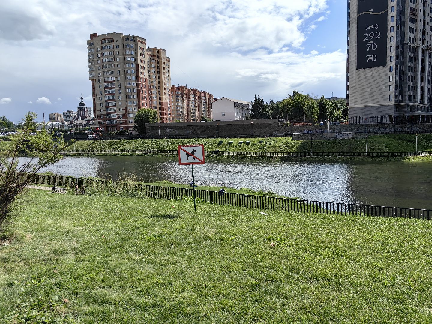 Собака, выгул, табличка, набережная, намордник