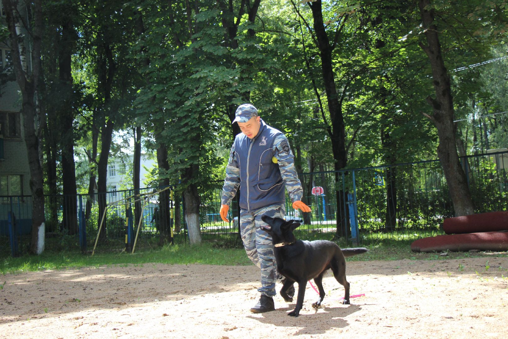 Лобня, полиция, собака