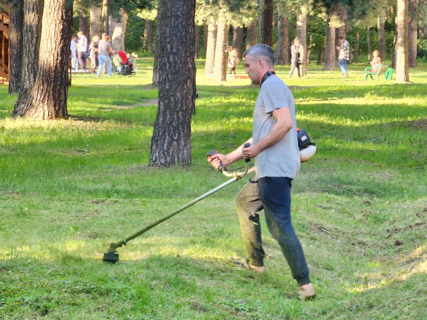 покос травы, Кузьминский лесопарк, благоустройство, Котельники