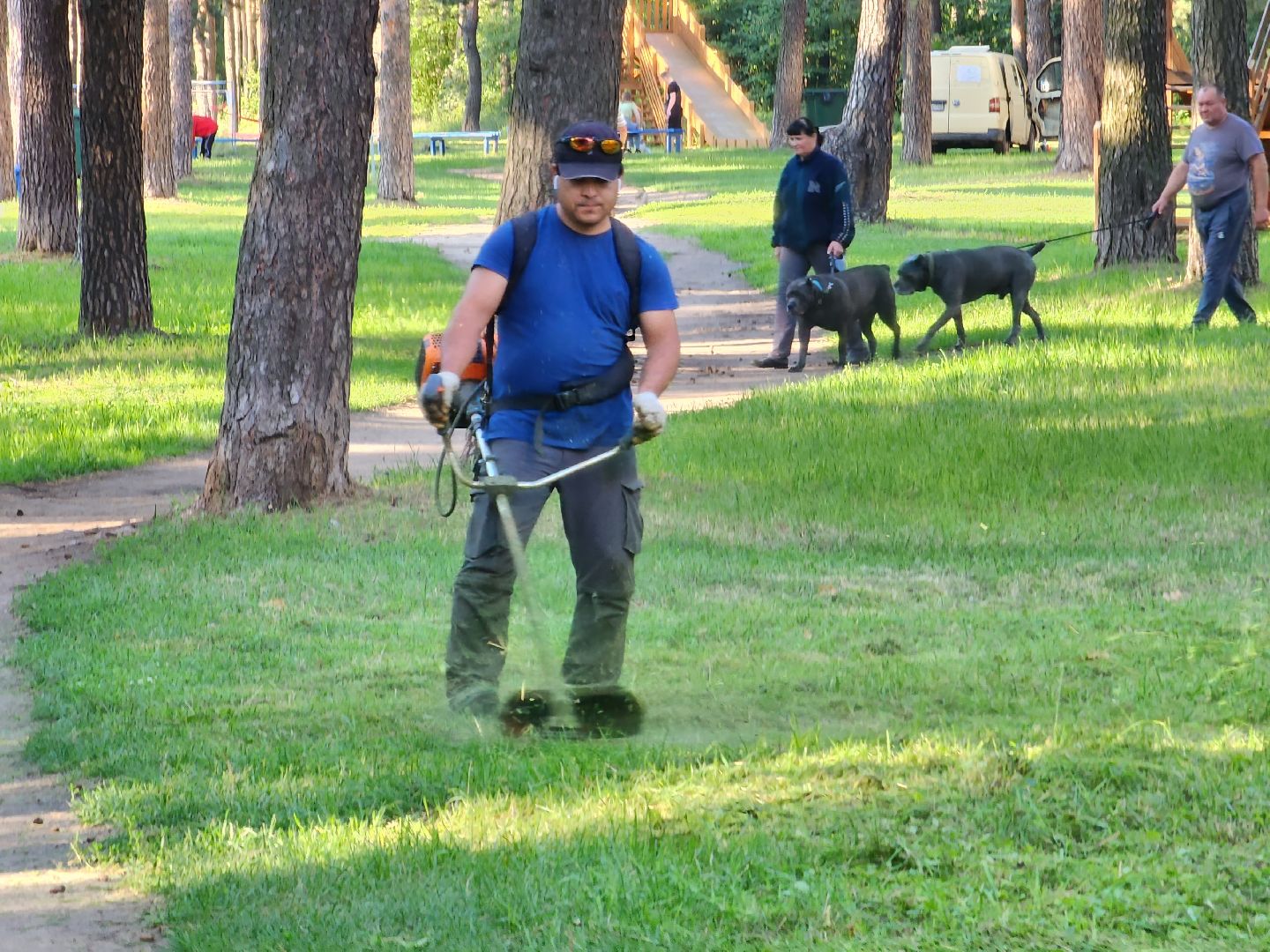 покос травы, Кузьминский лесопарк, благоустройство, Котельники