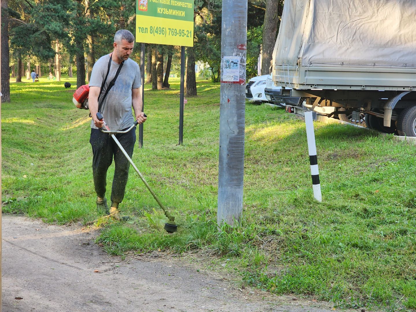 покос травы, Кузьминский лесопарк, благоустройство, Котельники