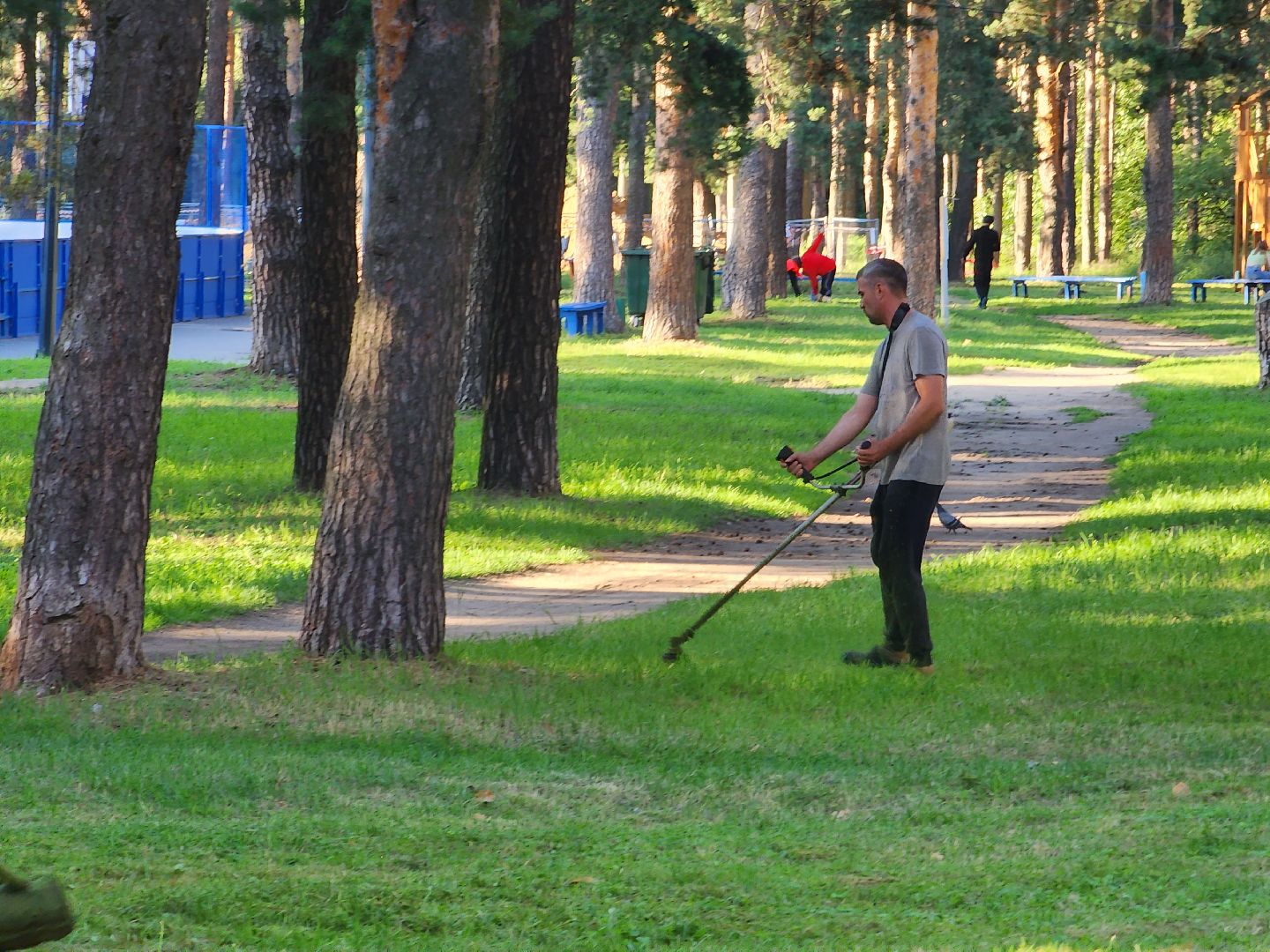 покос травы, Кузьминский лесопарк, благоустройство, Котельники
