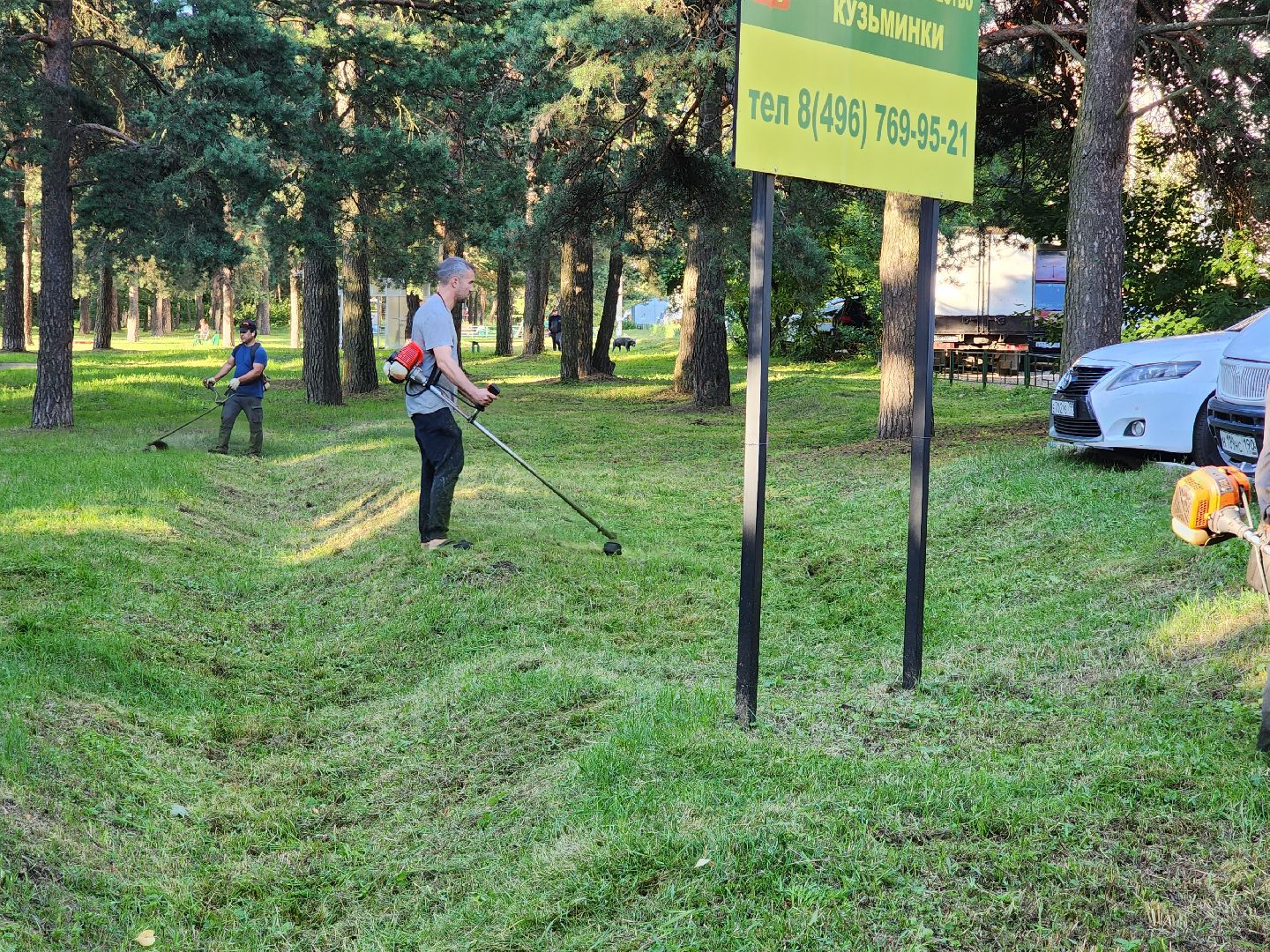 покос травы, Кузьминский лесопарк, благоустройство, Котельники