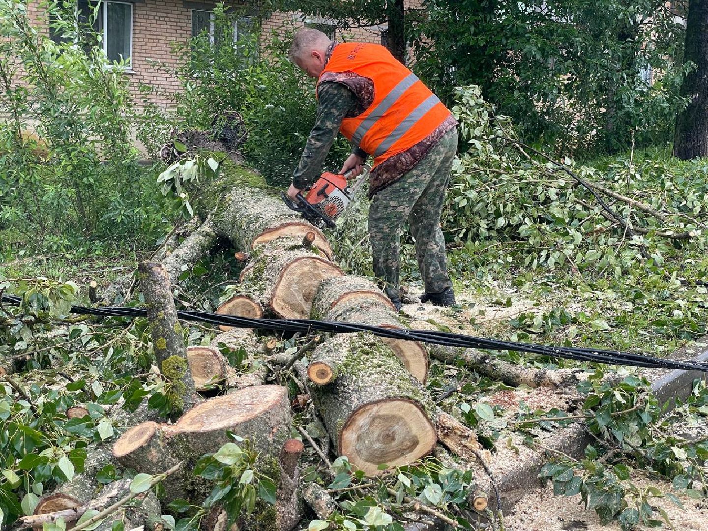 Сергиево-Посадский городской округ, Сергиев Посад, Непогода, Коммунальные службы, Ветер, Дождь