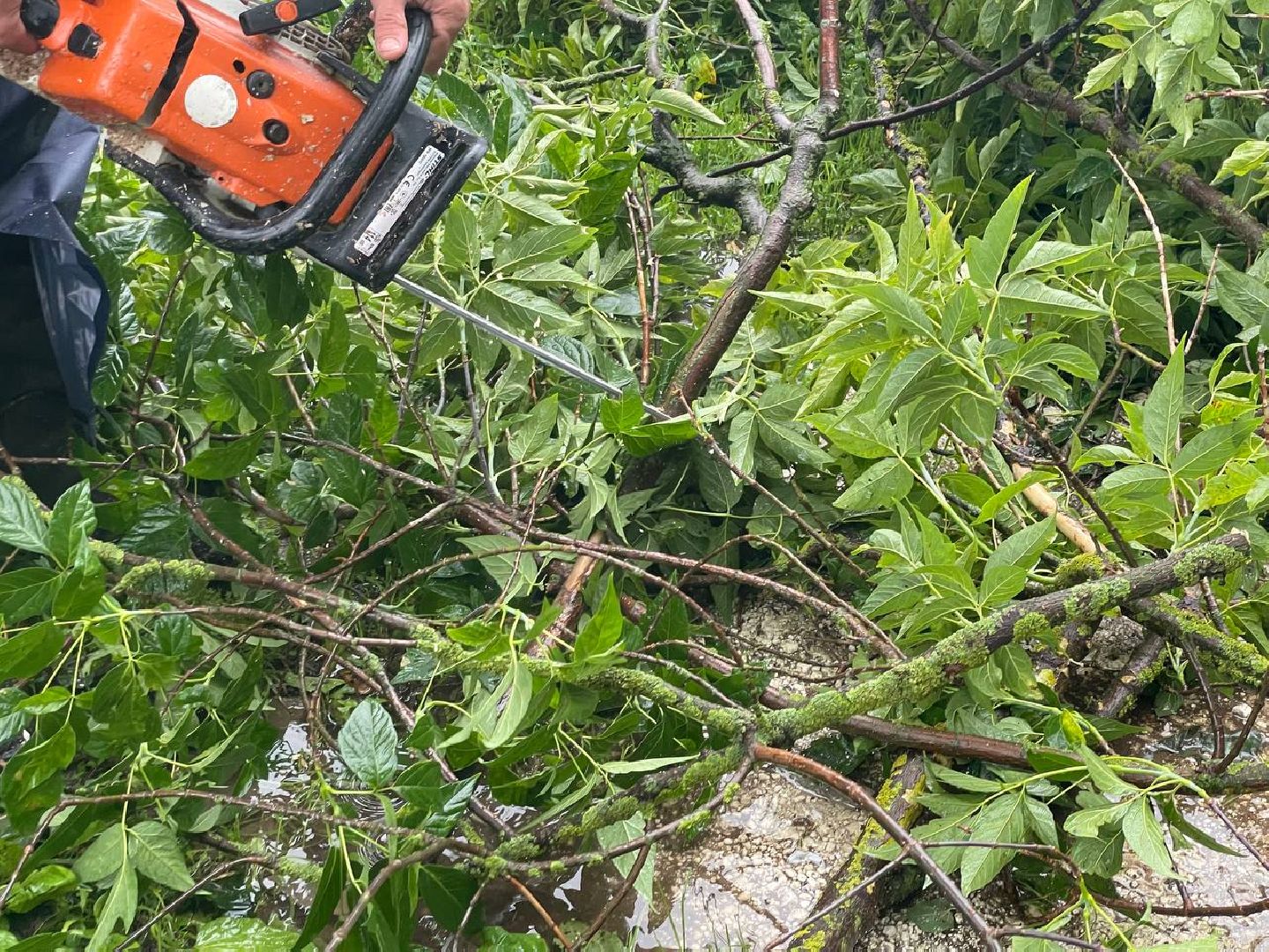 Сергиево-Посадский городской округ, Сергиев Посад, Непогода, Коммунальные службы, Ветер, Дождь
