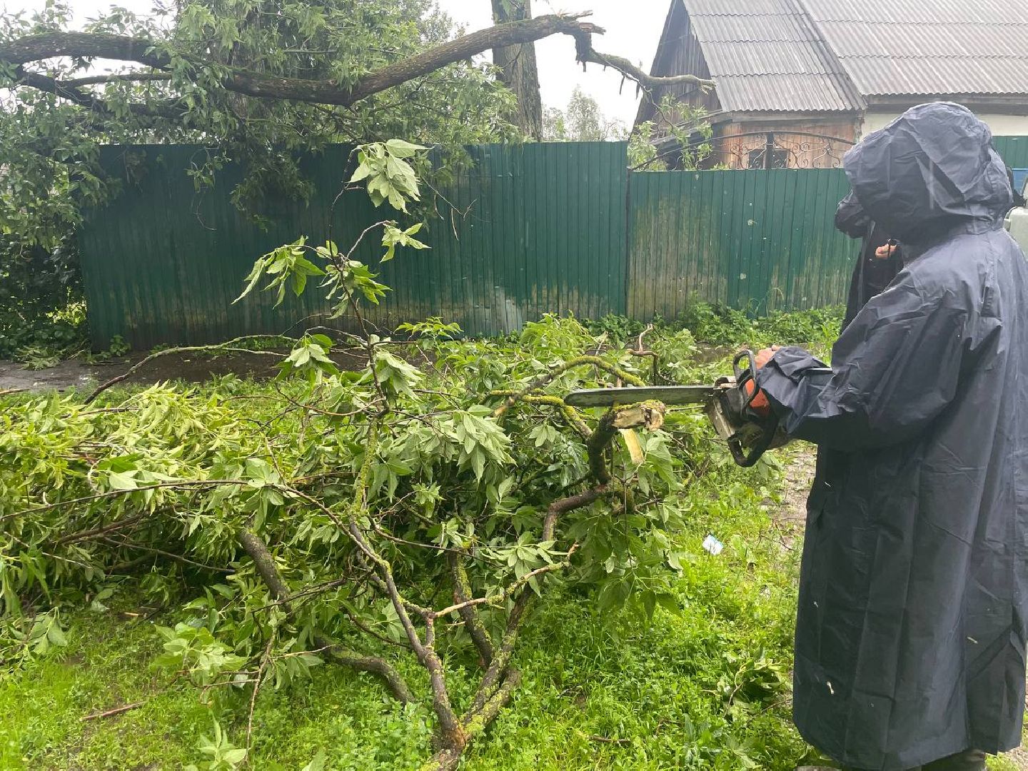 Сергиево-Посадский городской округ, Сергиев Посад, Непогода, Коммунальные службы, Ветер, Дождь