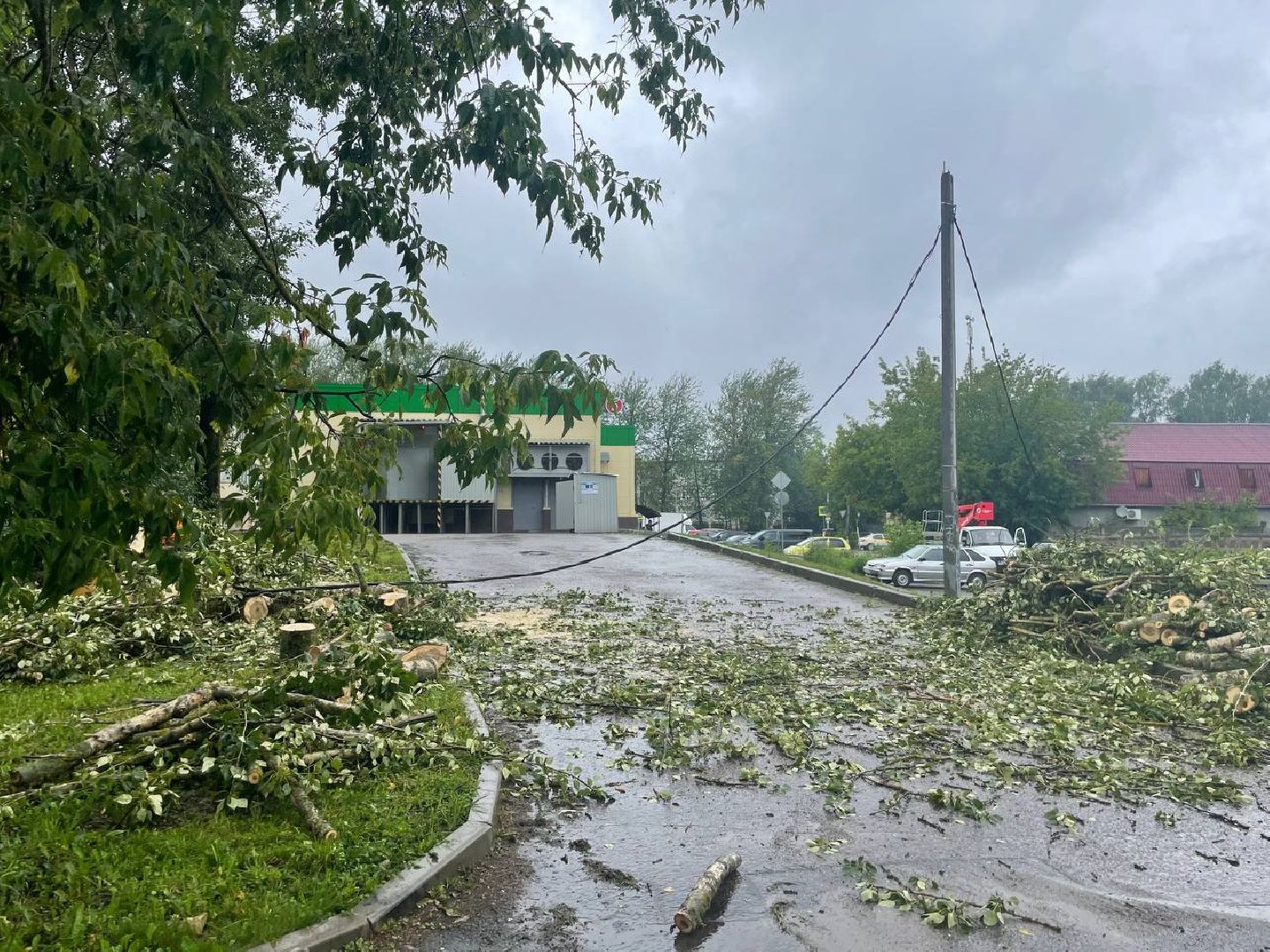 Сергиево-Посадский городской округ, Сергиев Посад, Непогода, Коммунальные службы, Ветер, Дождь
