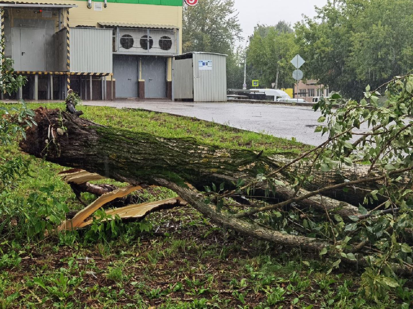 Сергиево-Посадский городской округ, Сергиев Посад, Непогода, Дождь, Ливень, Коммунальные службы