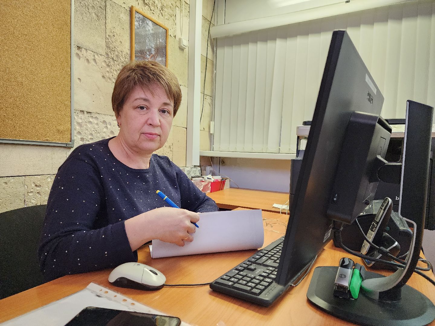 выборы губернатора, ТИК, Воскресенск, жители