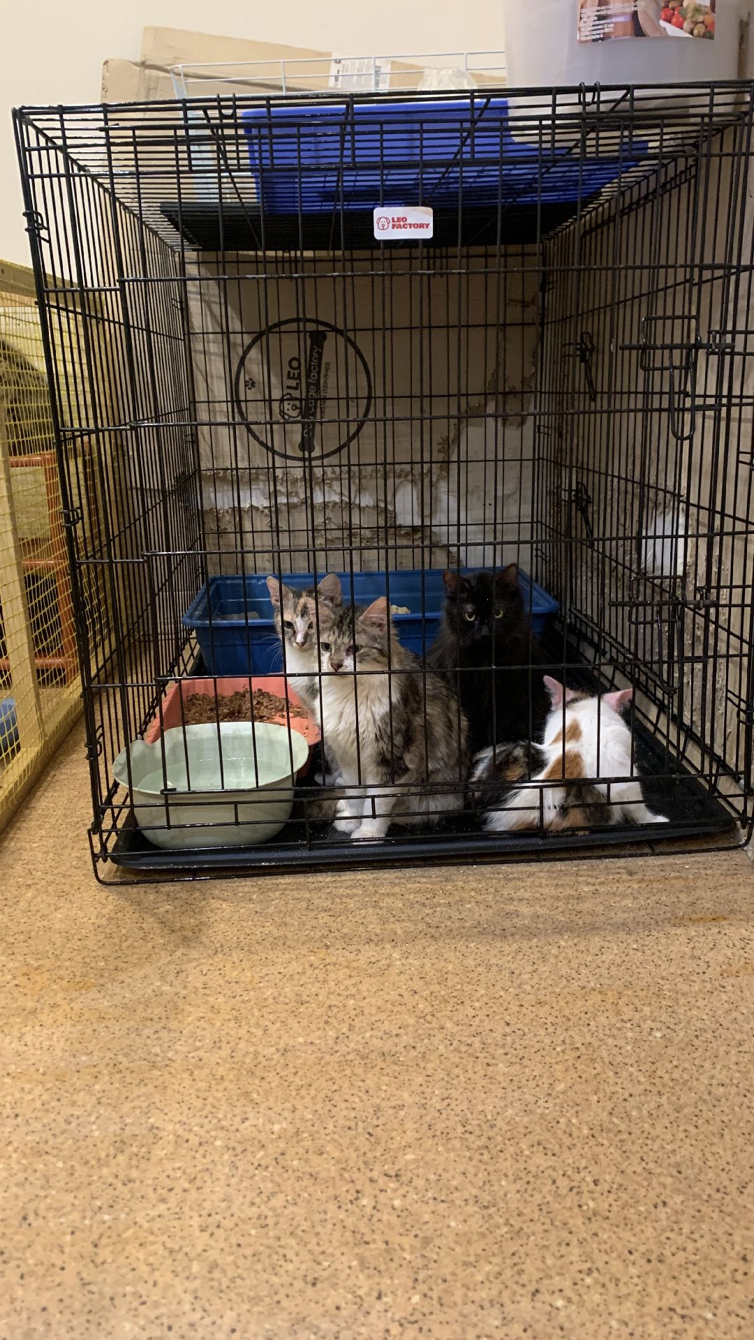 Ступино, общество