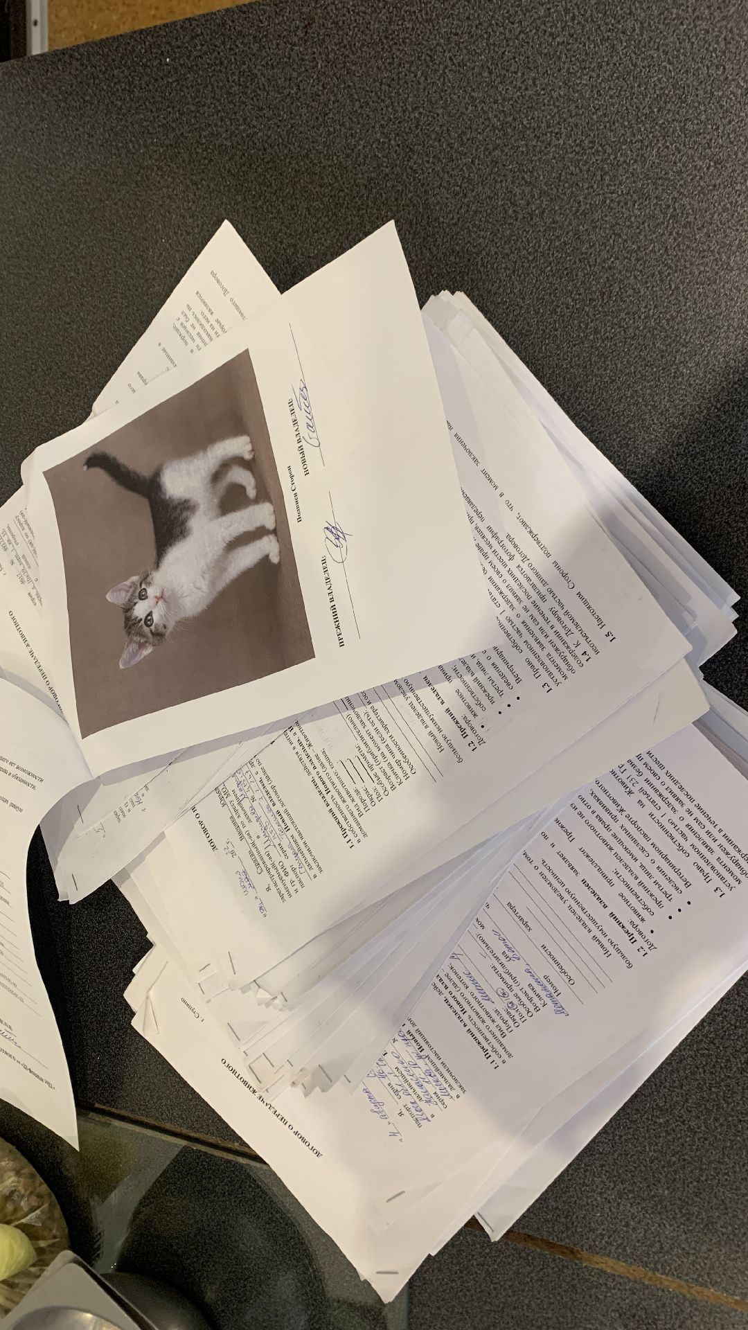 Ступино, общество