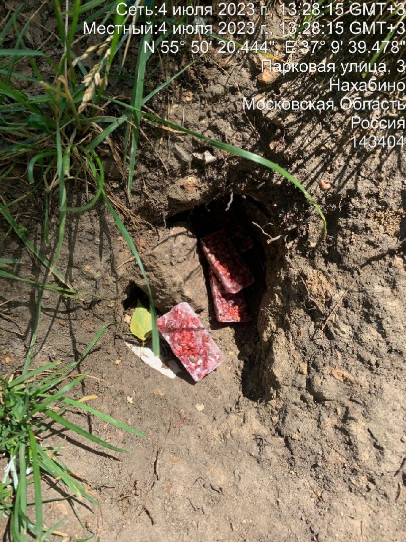 Нахабино, крысы, мусор