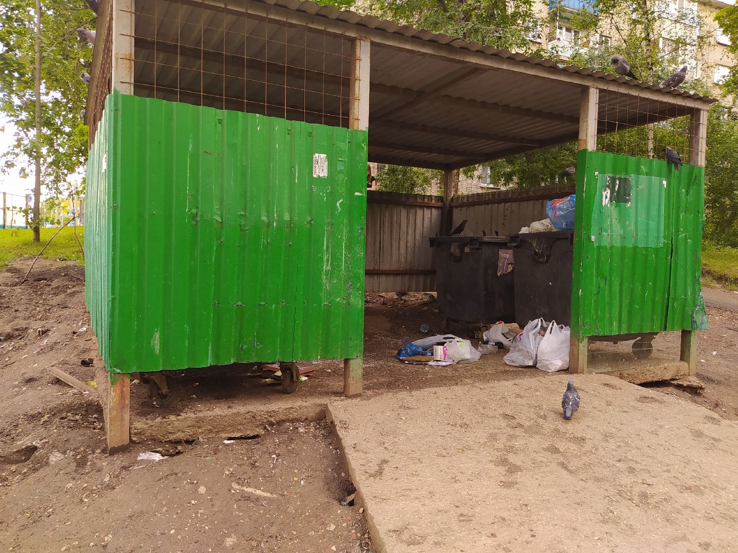 Нахабино, крысы, мусор