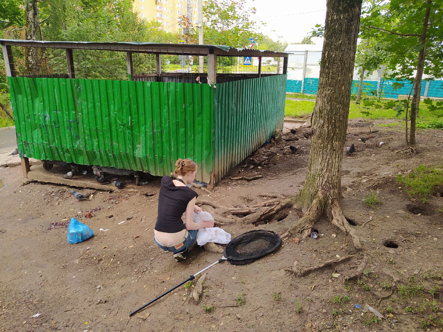 Нахабино, крысы, мусор