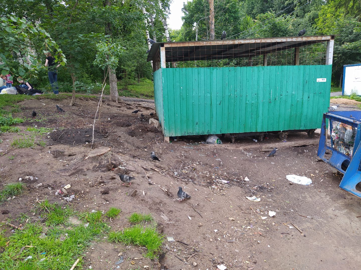 Нахабино, крысы, мусор