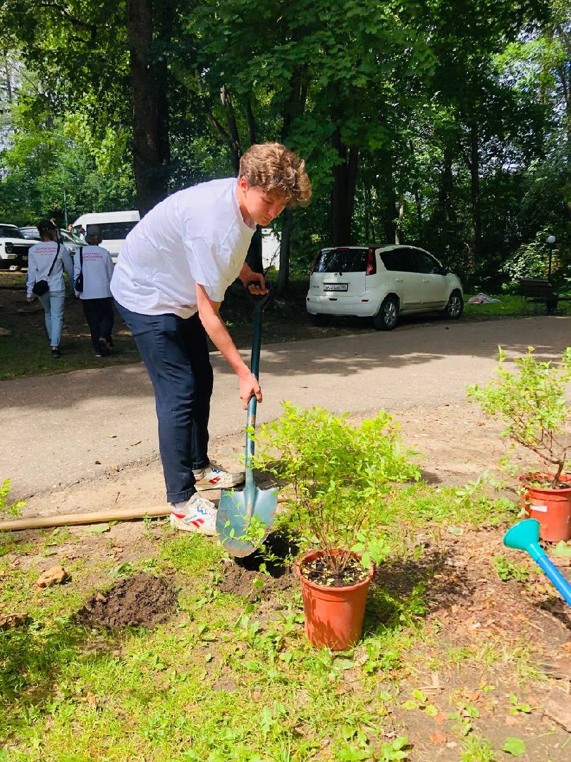 Руза, волонтеры, субботник, высадка саженцев, 1000-й саженец, экология