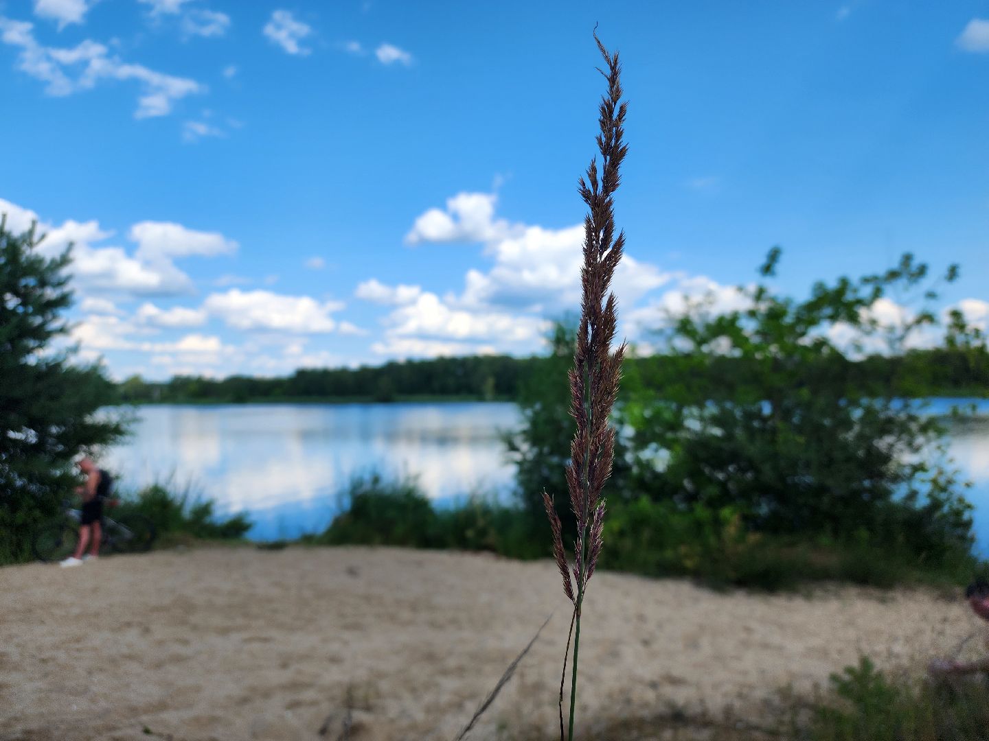 Павловский Посад, городской округ Павловский Посад, отдых, люди, лето, Байкал, озеро